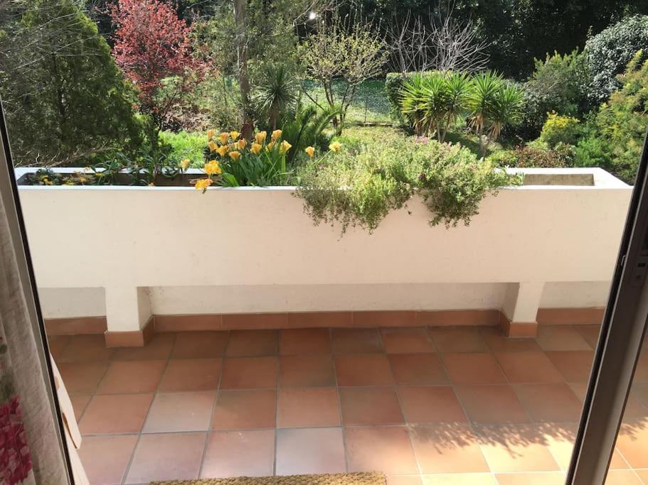 Les Collines D'Estanove, Charming, Bright, Calm Place With Pool مونبيلييه المظهر الخارجي الصورة